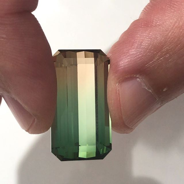 🇨🇭@gemgeneve I ran into the talented french Lebanese @walid_akkad He share with me some stones he bought like this stunning #bicolortourmaline @gemsbynomads I am looking forwards to see the ring he is going to create 
_________
#jaimegeneve #tourmaline #walidakkad #lebaneseconnection #gemsdealer #gemstones #ilovegemgeneve #swissparadise #tourmalinering #tourmalinejewelry #stoneoftheday