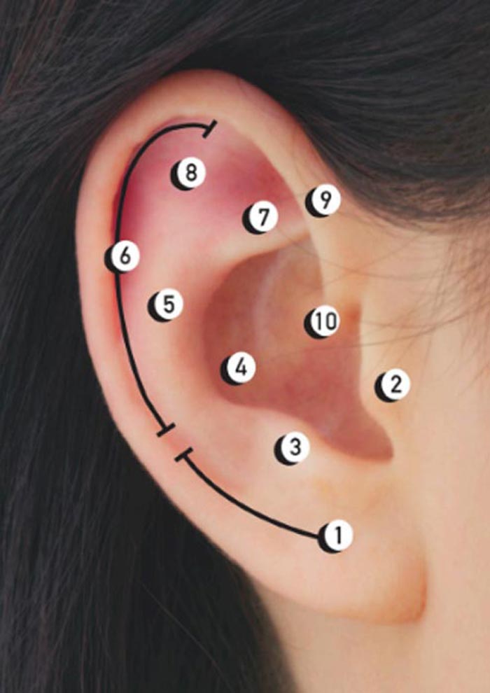 Maria Tash So Punk Bon Marche Piercing Oreille Lobe Tragus Helix Conque Anatomie Oreille Sandrine Merle The French Jewelry Post The French Jewelry Post By Sandrine Merle